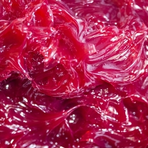 گریس